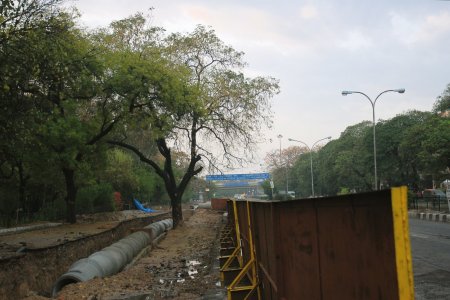 roads being widened on the space that had trees